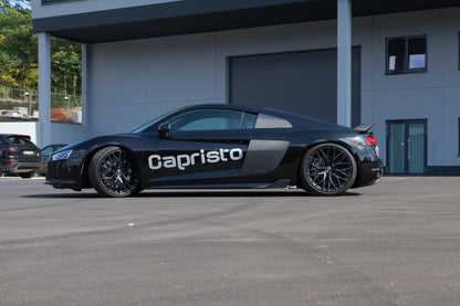 Audi R8 (Gen2) - Carbon Side Fins